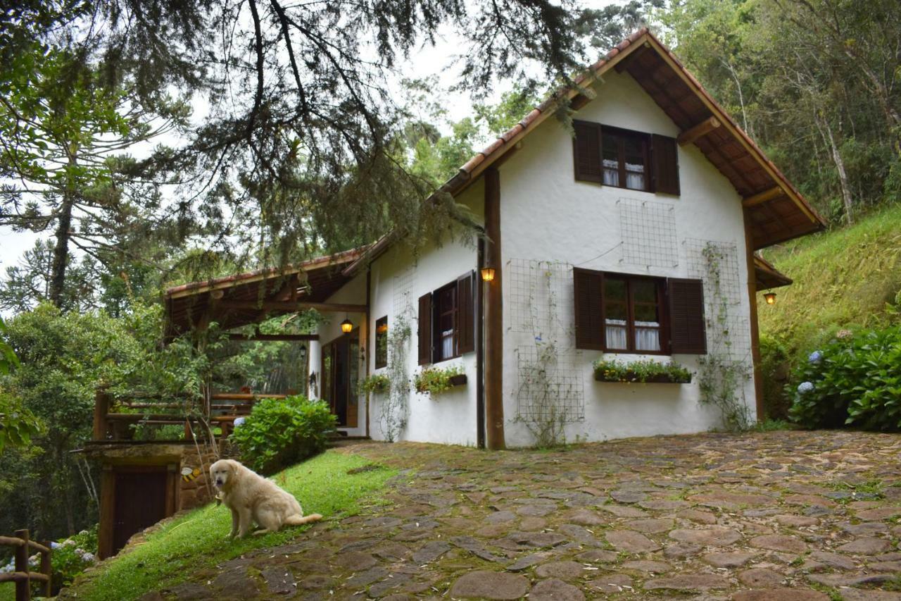 Chalet Da Hortensias Villa Cunha Exterior foto